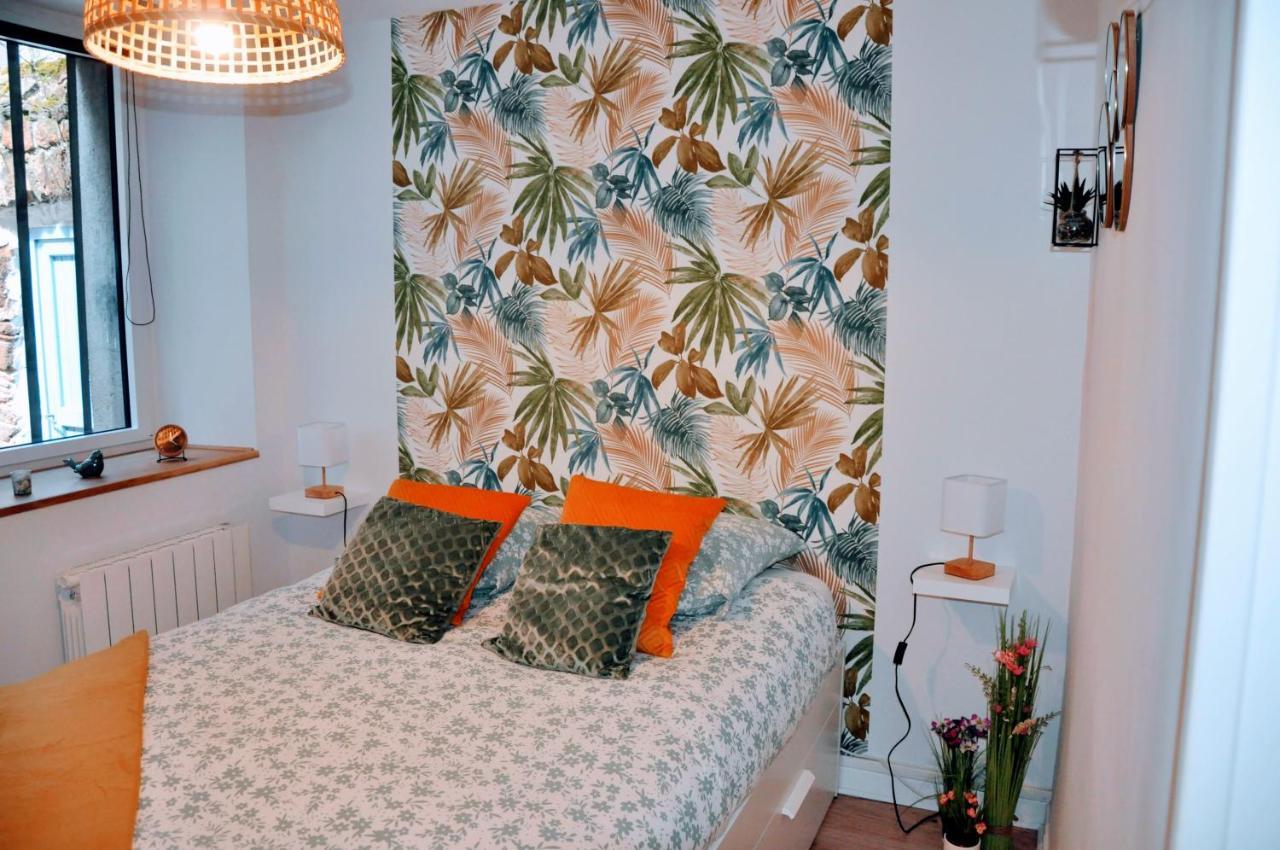 Dormir A Brioude - Appartement 'Esprit Nature' Bagian luar foto